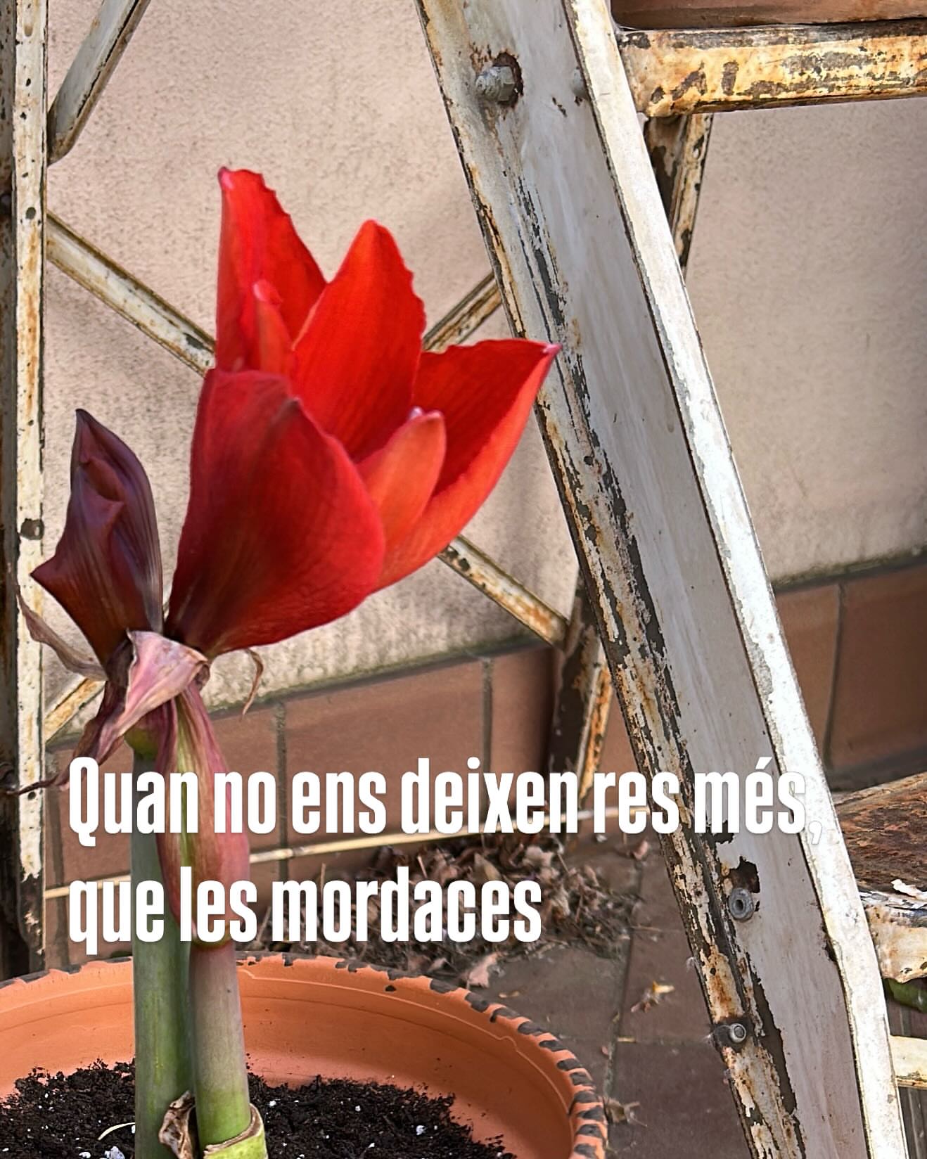 @lacatefigueres