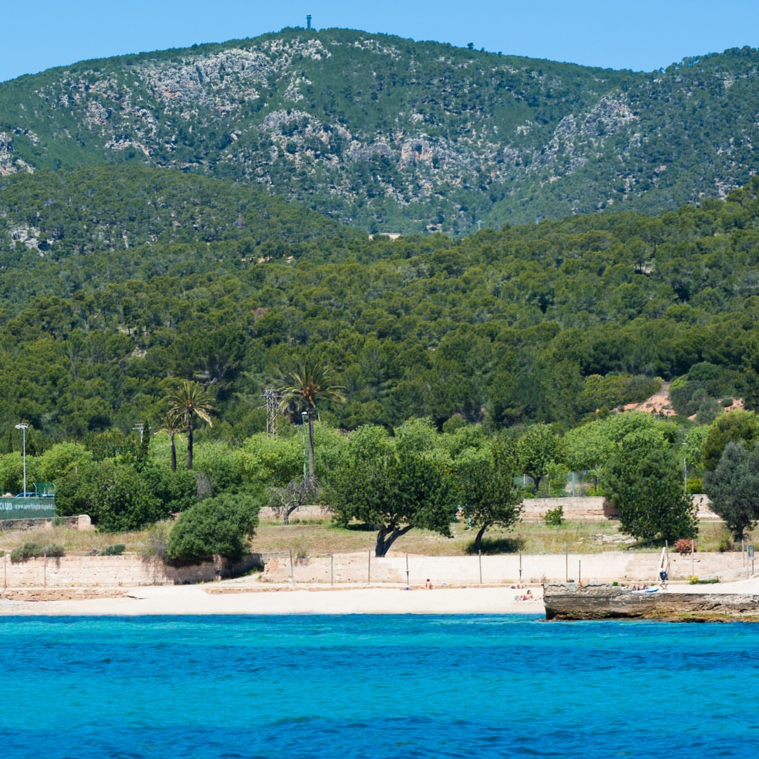 @visitcalvia