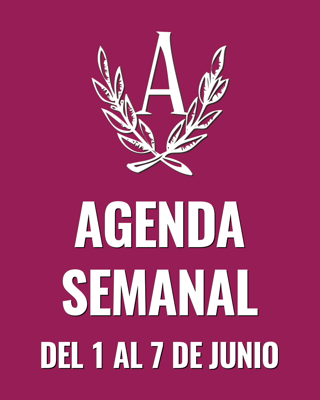 @auditoriumpalma